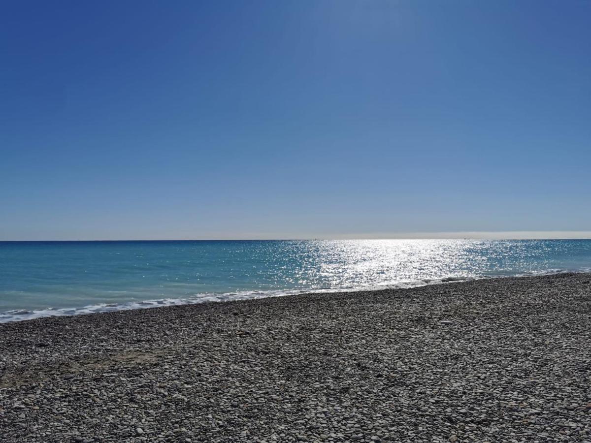 Global Properties, Apartamento En Marjal De Corinto Con Piscina ساغونتو المظهر الخارجي الصورة