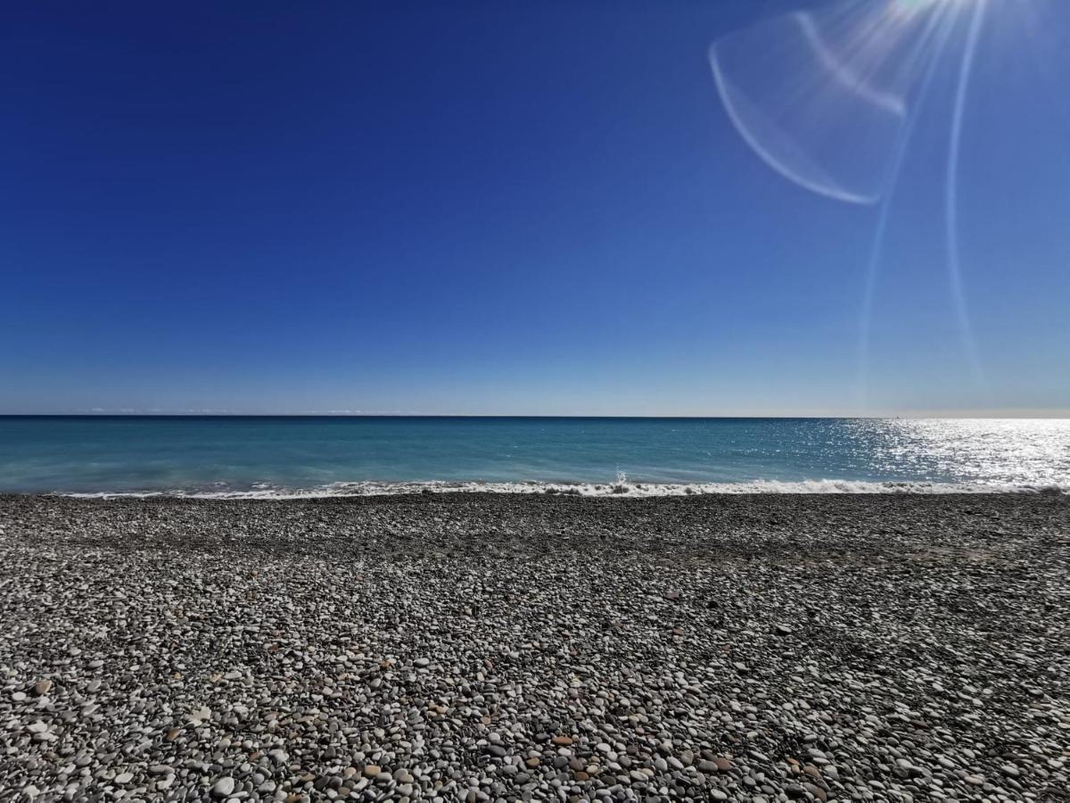 Global Properties, Apartamento En Marjal De Corinto Con Piscina ساغونتو المظهر الخارجي الصورة